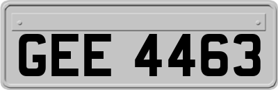 GEE4463
