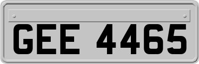 GEE4465