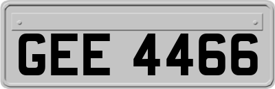 GEE4466