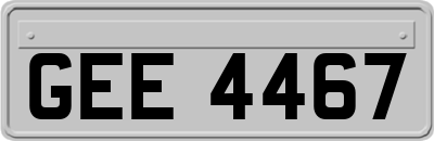 GEE4467