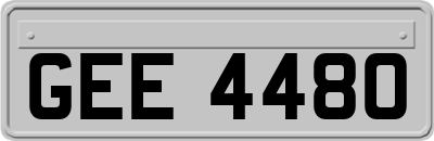 GEE4480