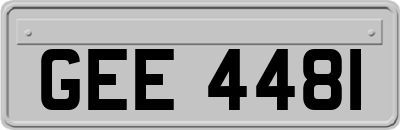 GEE4481