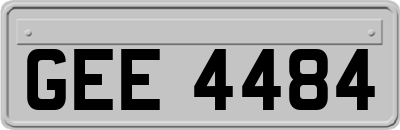 GEE4484
