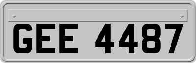 GEE4487