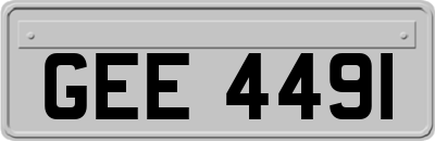 GEE4491