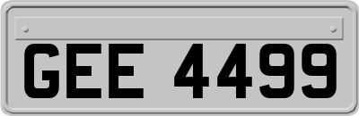 GEE4499