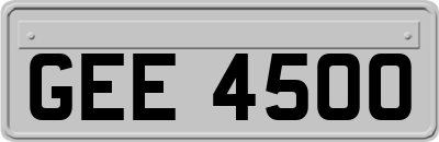 GEE4500