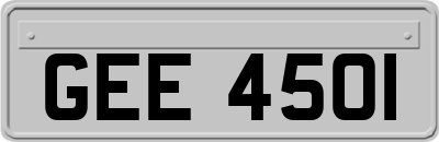 GEE4501