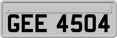 GEE4504