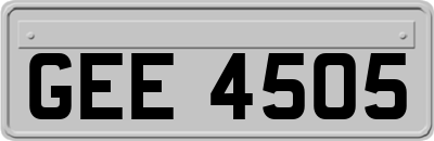 GEE4505