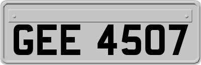 GEE4507