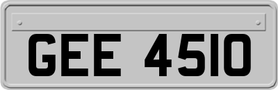 GEE4510