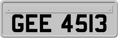 GEE4513