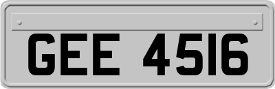GEE4516