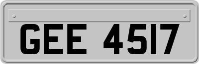 GEE4517