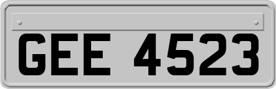 GEE4523