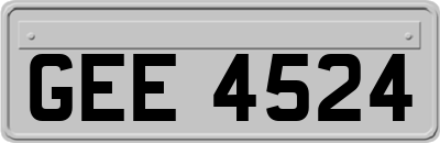 GEE4524