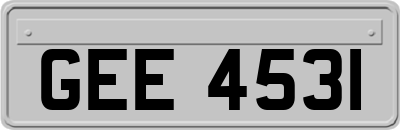 GEE4531