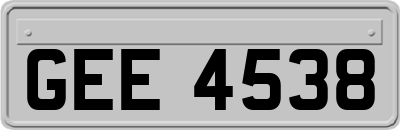 GEE4538