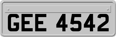 GEE4542