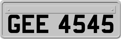 GEE4545
