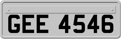 GEE4546