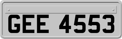 GEE4553