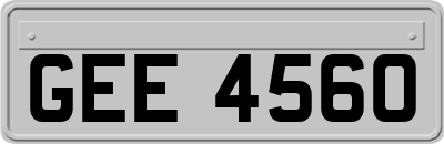 GEE4560