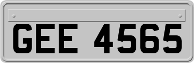 GEE4565