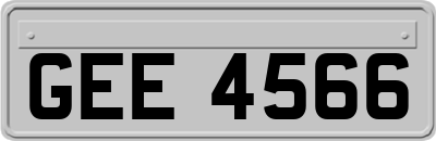 GEE4566