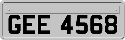 GEE4568