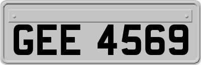 GEE4569