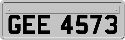GEE4573