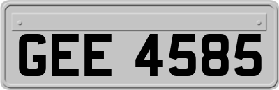 GEE4585