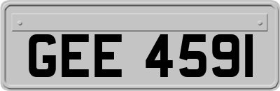 GEE4591
