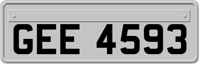 GEE4593