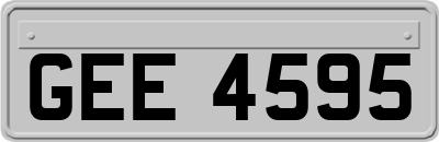 GEE4595