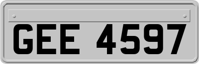 GEE4597