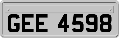 GEE4598