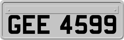 GEE4599