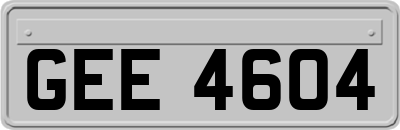 GEE4604