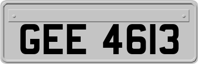 GEE4613