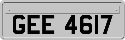 GEE4617