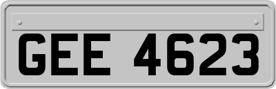 GEE4623