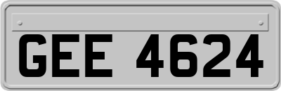 GEE4624