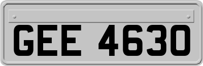 GEE4630