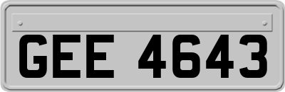 GEE4643