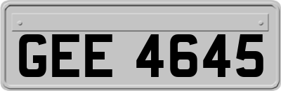 GEE4645