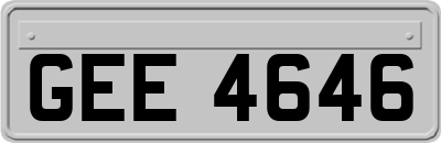 GEE4646