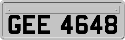 GEE4648